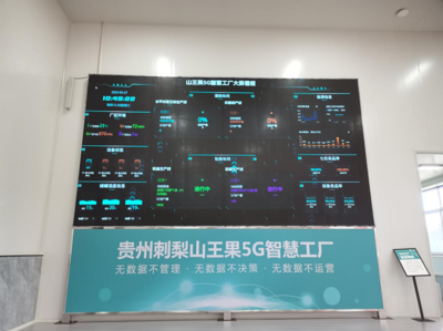 深耕四張精品網(wǎng) 助力中國式現(xiàn)代化開新篇 走進(jìn)云上之城的數(shù)據(jù)處理與存儲服務(wù)